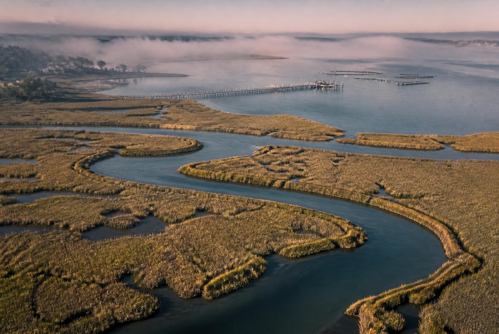 Aerial view of tidal channels winding through coastal salt marsh at first light